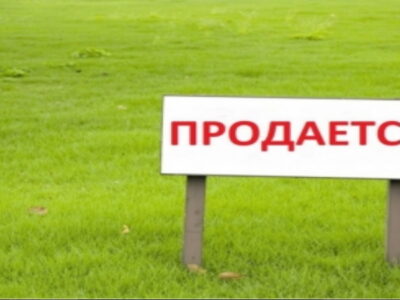 что то тестим