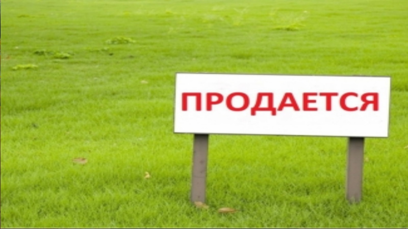 что то тестим